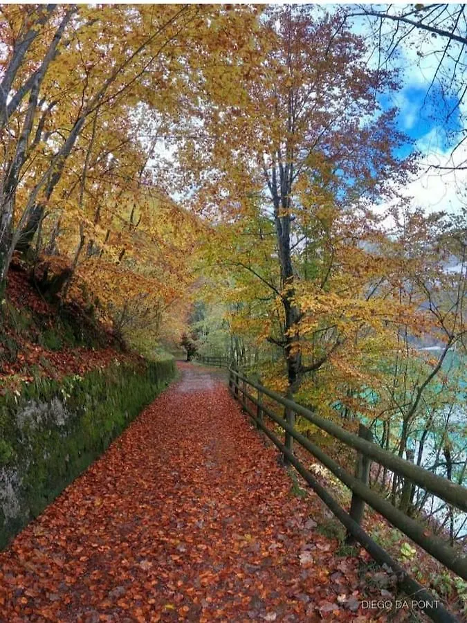Colori Nel Parco Lejlighed Cesiomaggiore 0*,  Italien